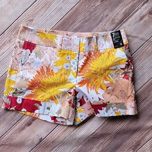 New York and Co shorts
